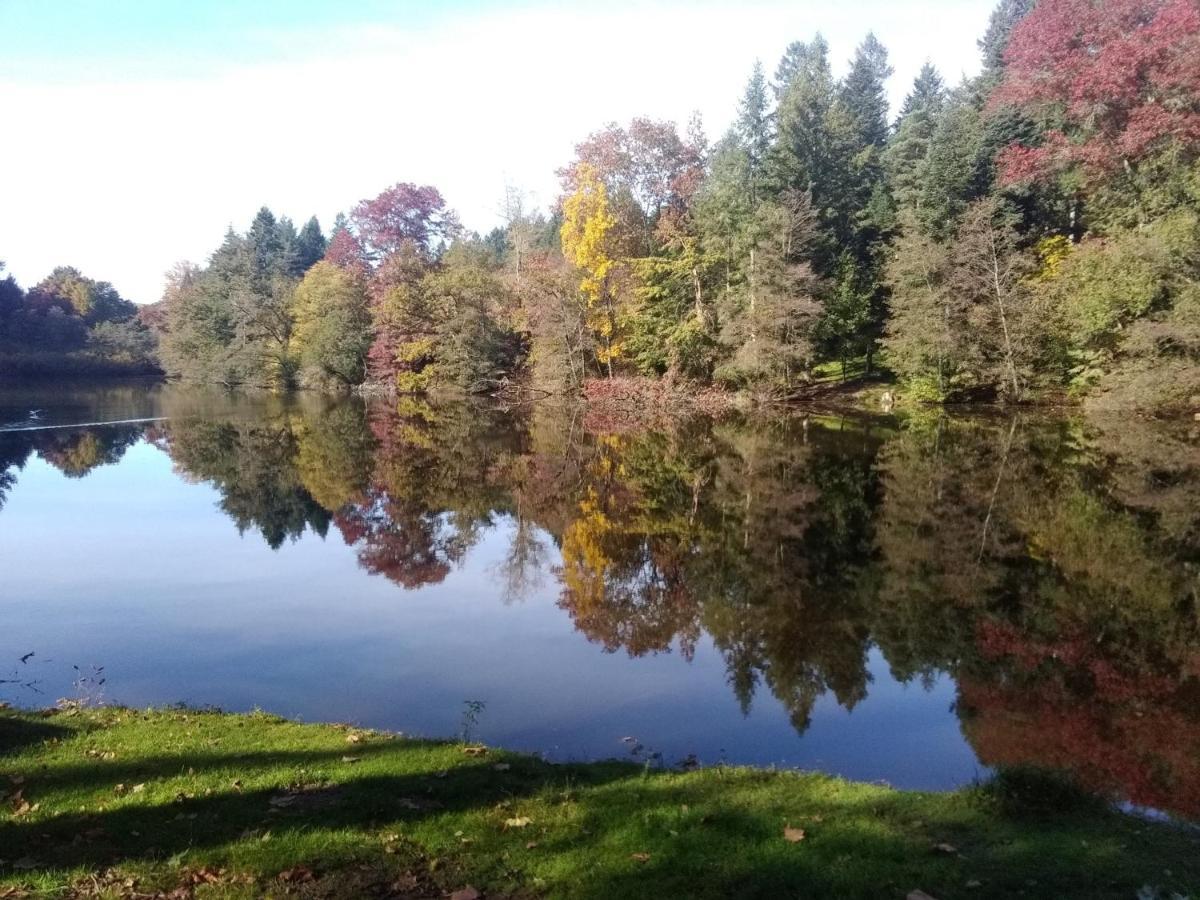 Gite De L'Arboretum Dompierre-les-Ormes Ngoại thất bức ảnh